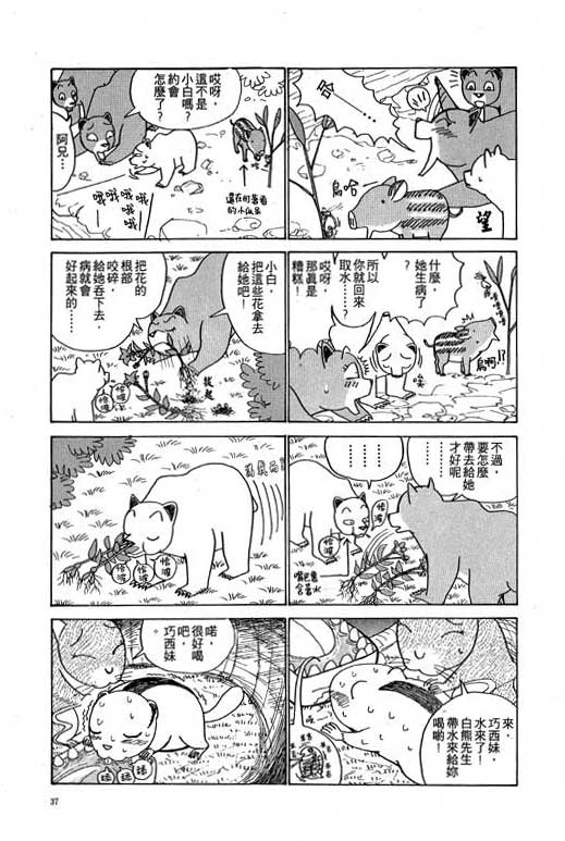 《天才宝贝熊》漫画 03卷