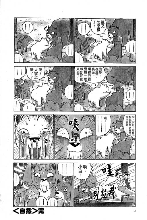 《天才宝贝熊》漫画 03卷