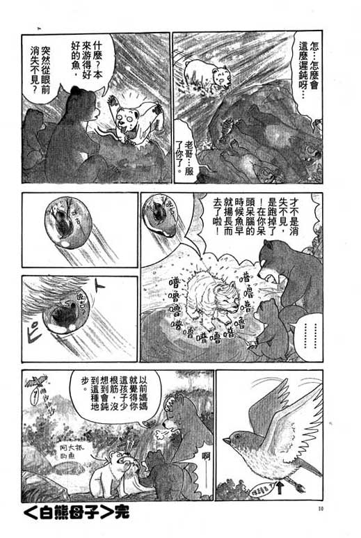 《天才宝贝熊》漫画 01卷