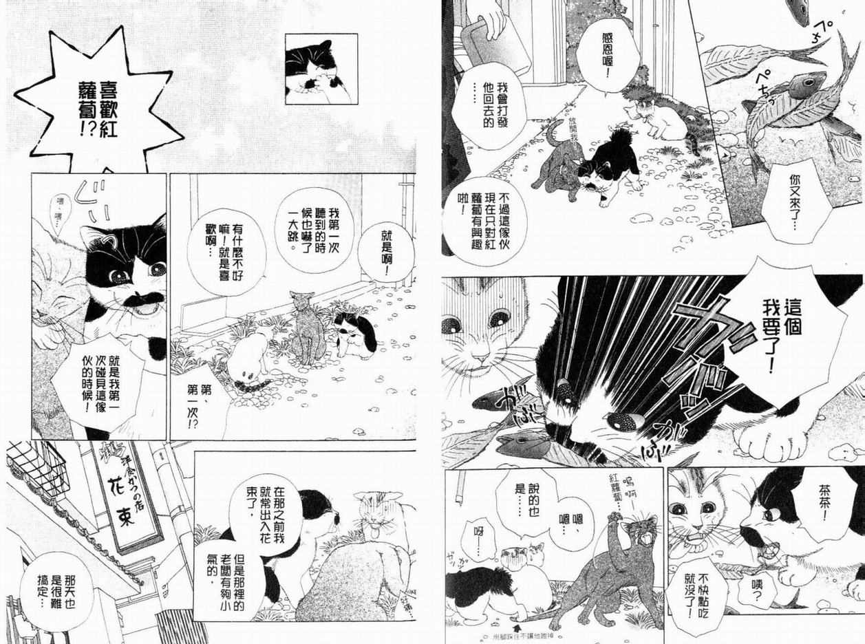 《茶茶的日常生活》漫画 日常生活06卷