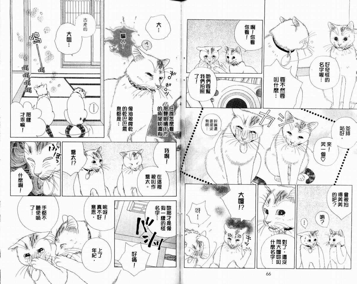 《茶茶的日常生活》漫画 日常生活05卷