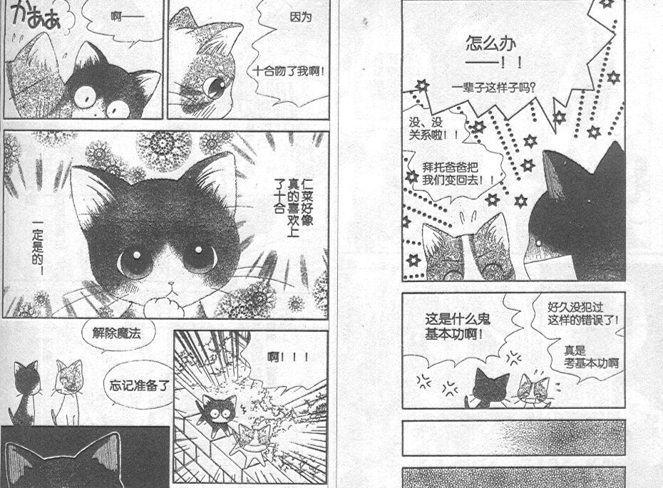 《魔法恋人》漫画 20集