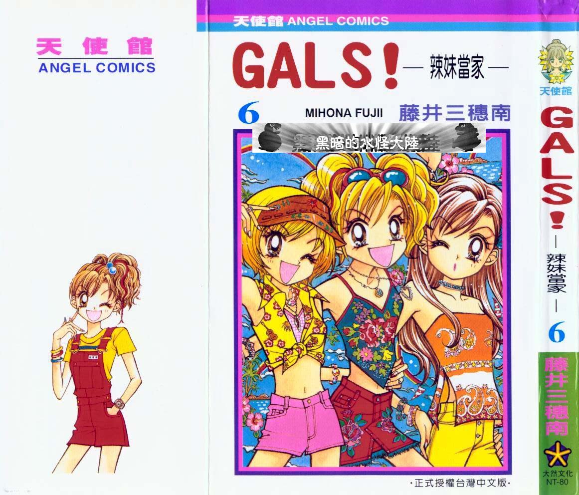 《辣妹当家》漫画 （gals!）06卷