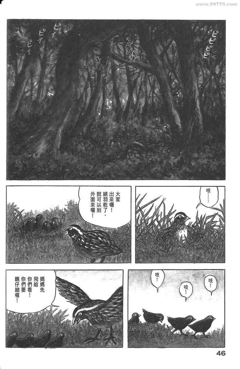 《空想鸟类物语》漫画 01卷