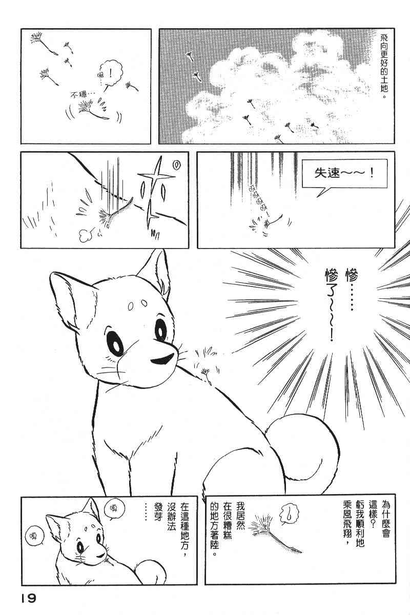 《柴王》漫画 06卷