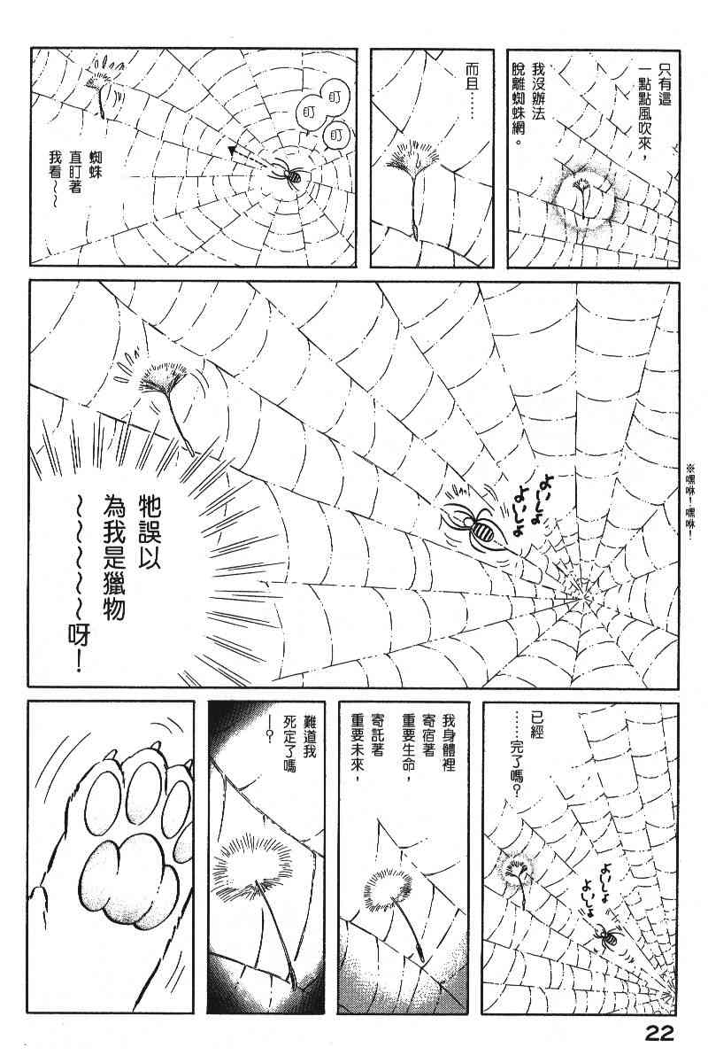 《柴王》漫画 06卷