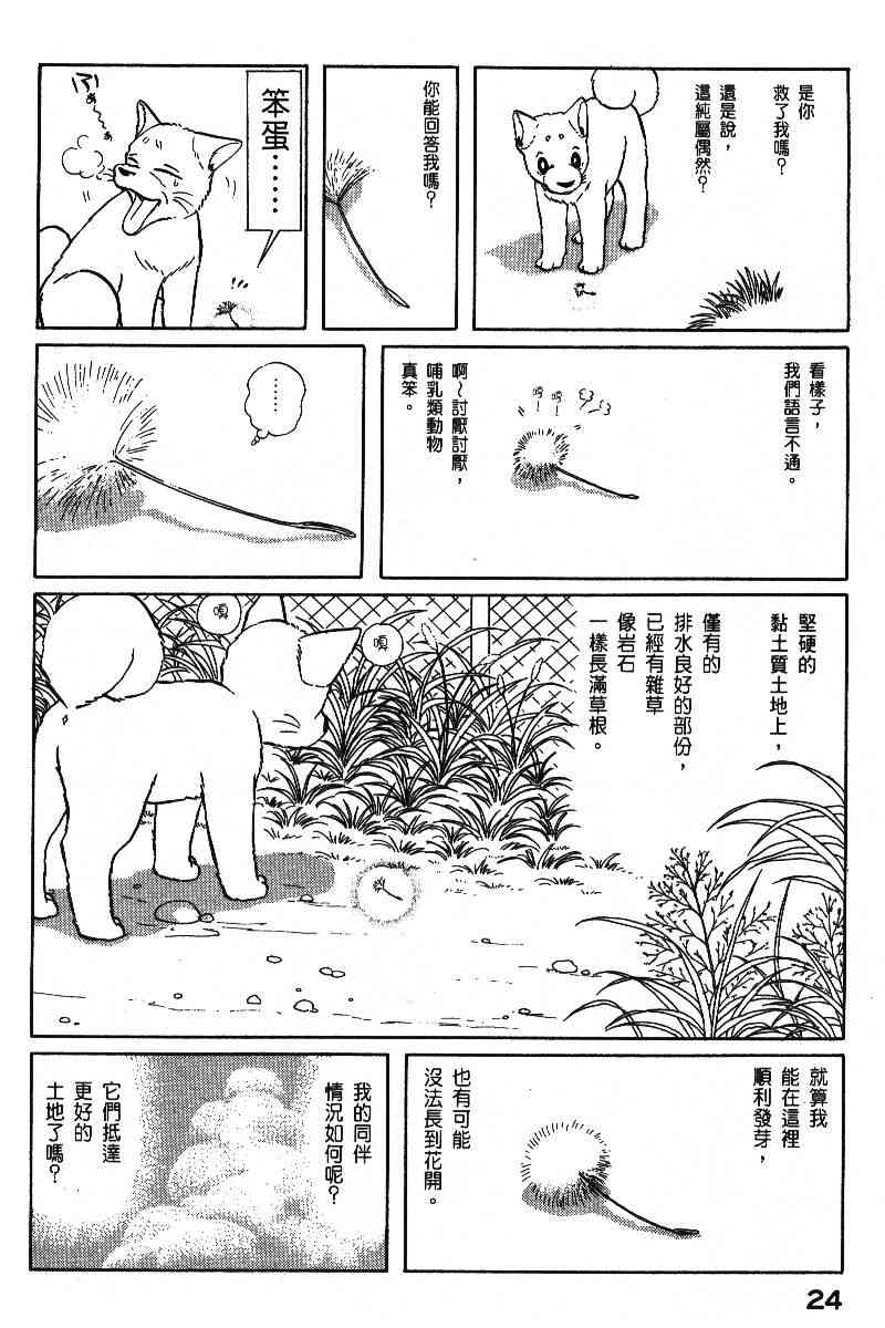 《柴王》漫画 06卷