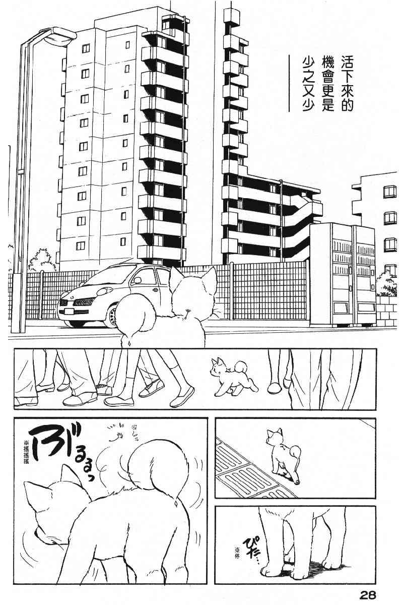 《柴王》漫画 06卷