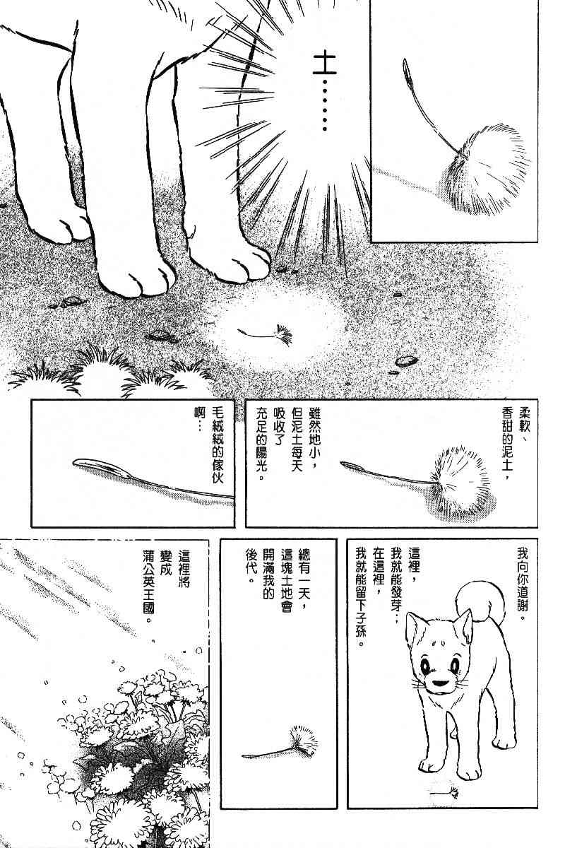 《柴王》漫画 06卷