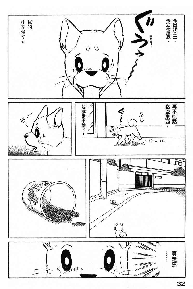 《柴王》漫画 06卷