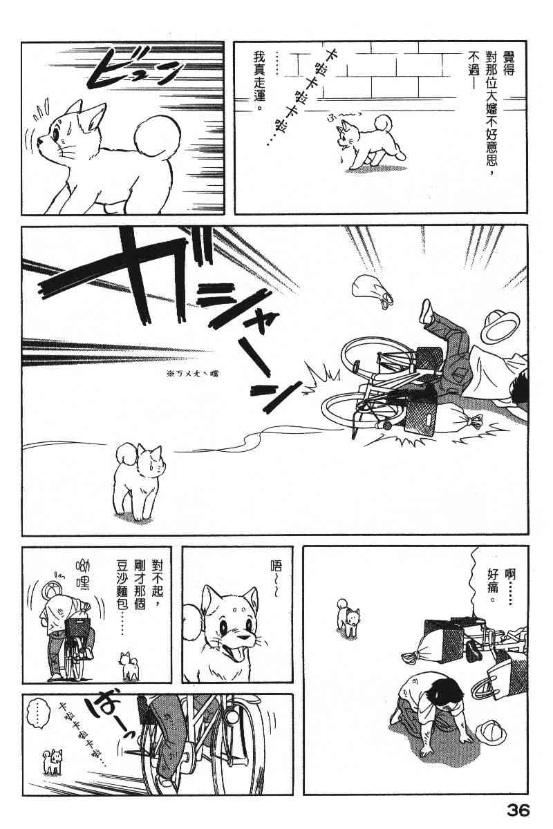 《柴王》漫画 06卷