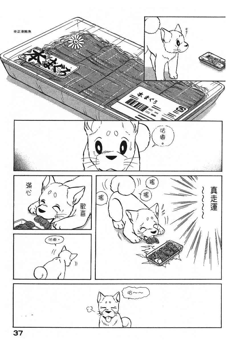 《柴王》漫画 06卷