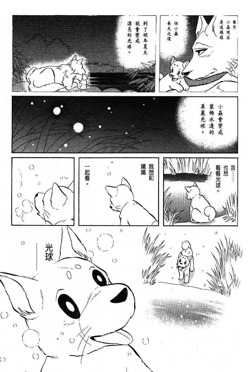 《柴王》漫画 06卷