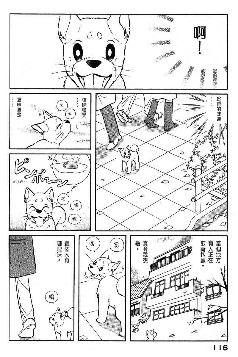 《柴王》漫画 06卷