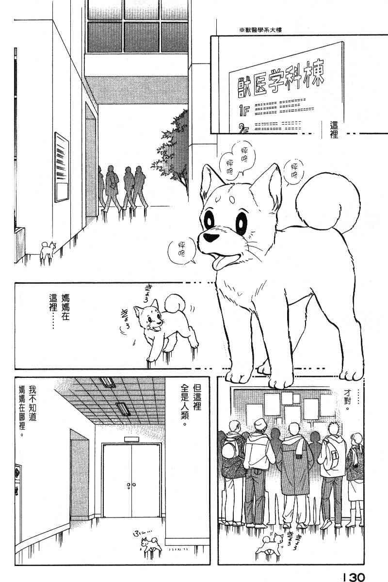 《柴王》漫画 06卷