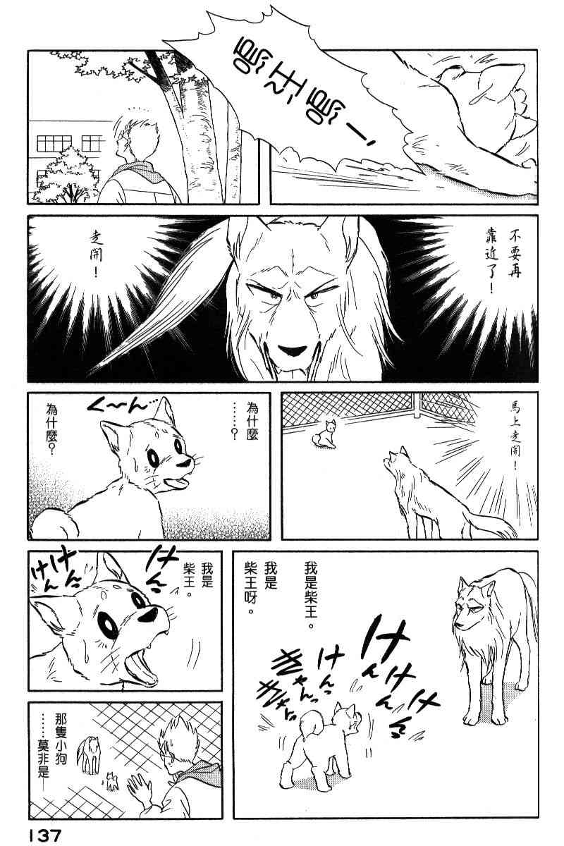 《柴王》漫画 06卷