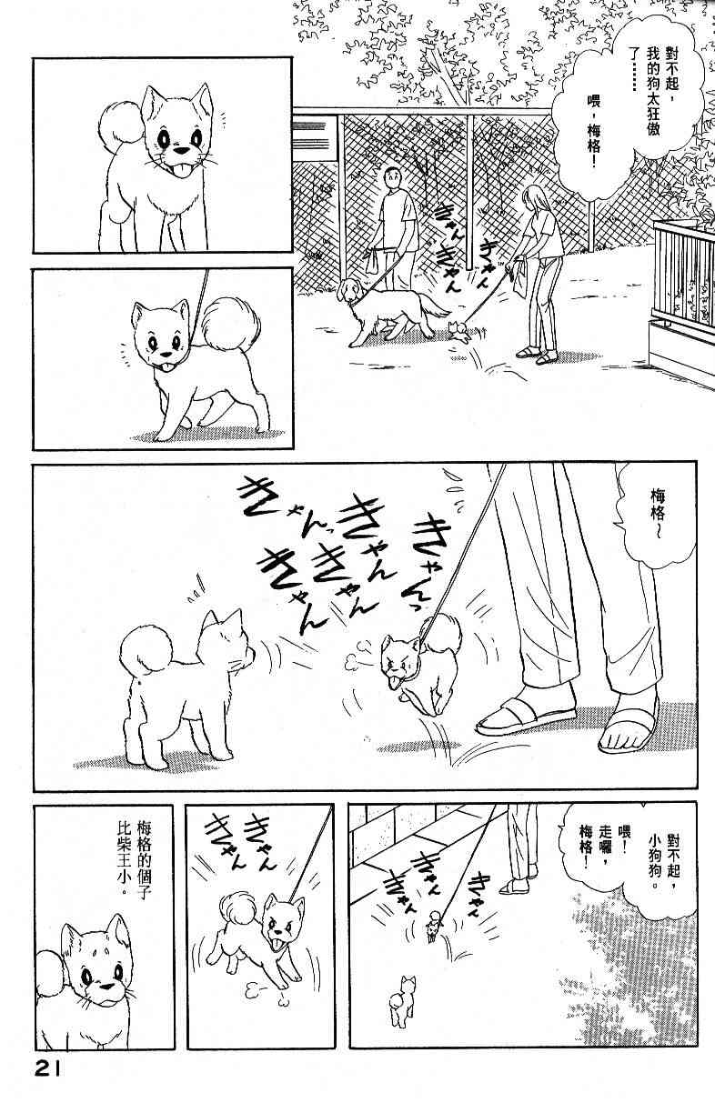 《柴王》漫画 04卷