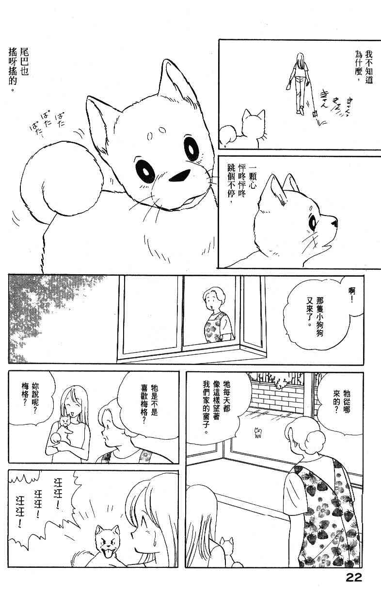 《柴王》漫画 04卷