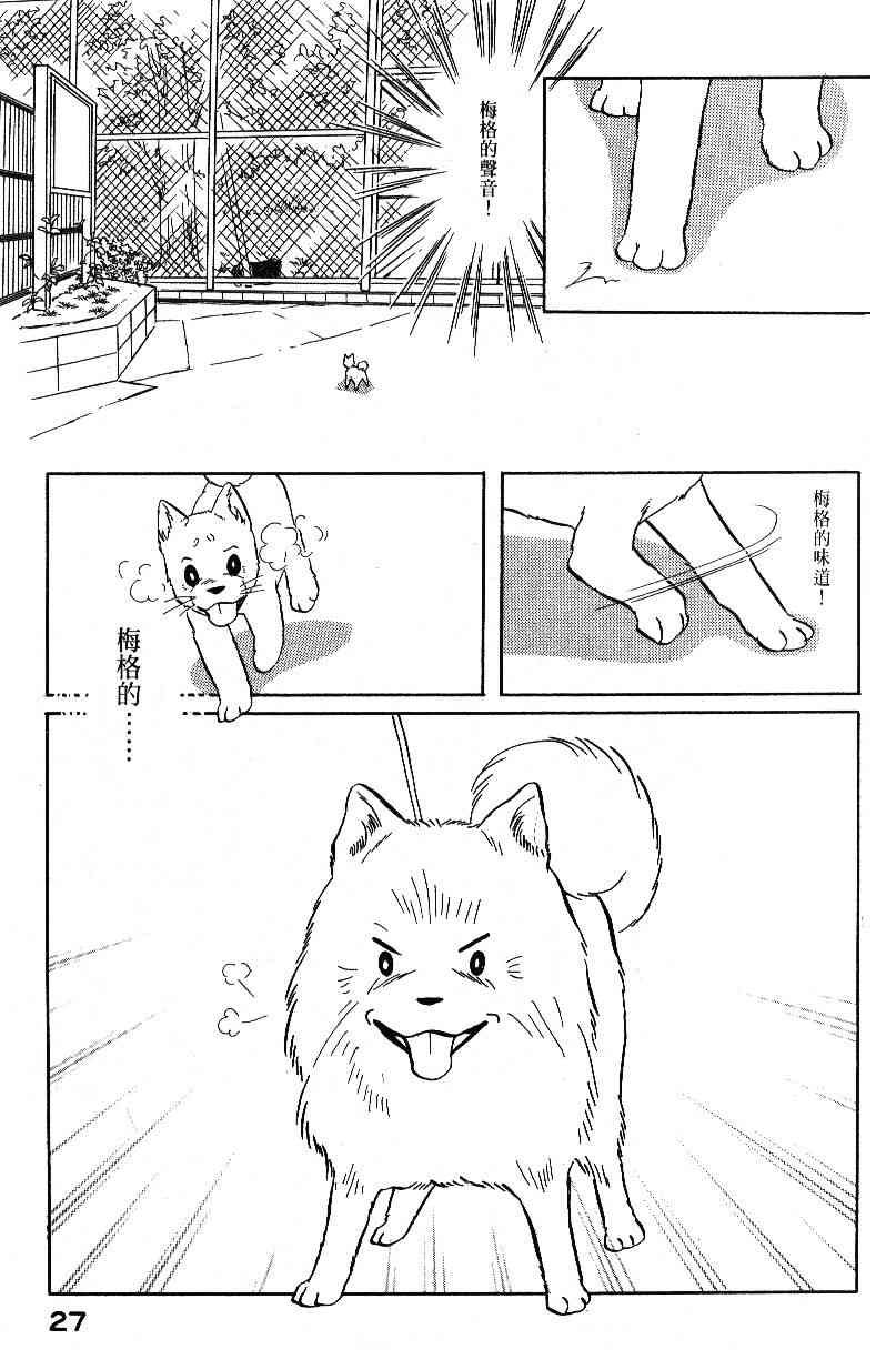 《柴王》漫画 04卷