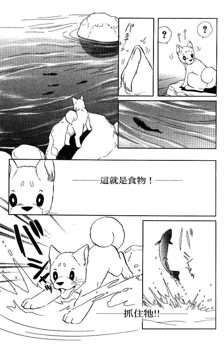 《柴王》漫画 04卷