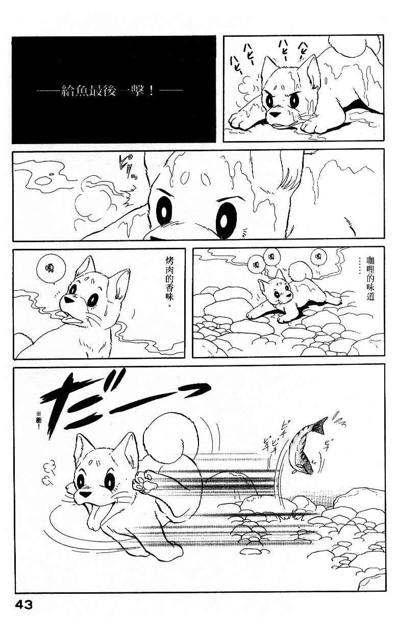 《柴王》漫画 04卷