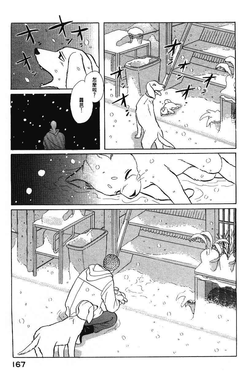 《柴王》漫画 04卷