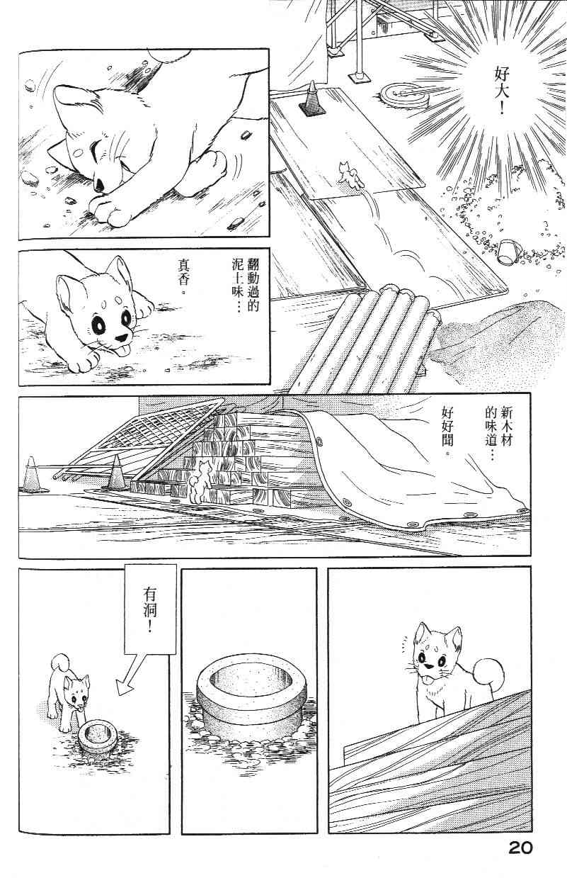 《柴王》漫画 03卷