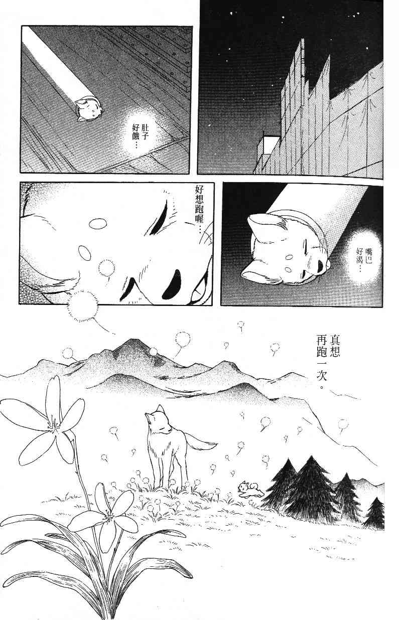 《柴王》漫画 03卷