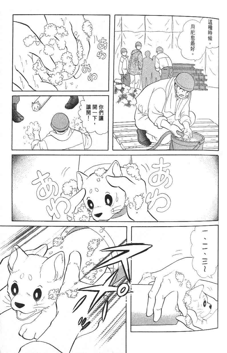 《柴王》漫画 03卷