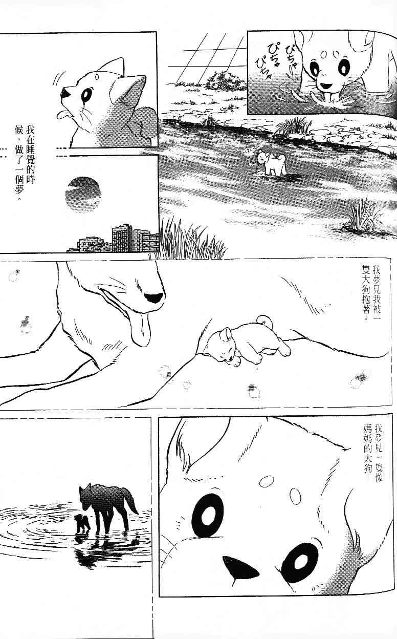 《柴王》漫画 02卷