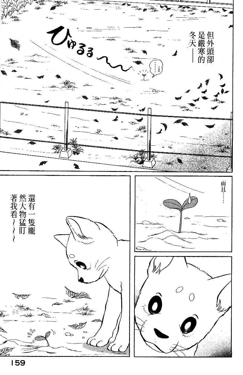 《柴王》漫画 02卷