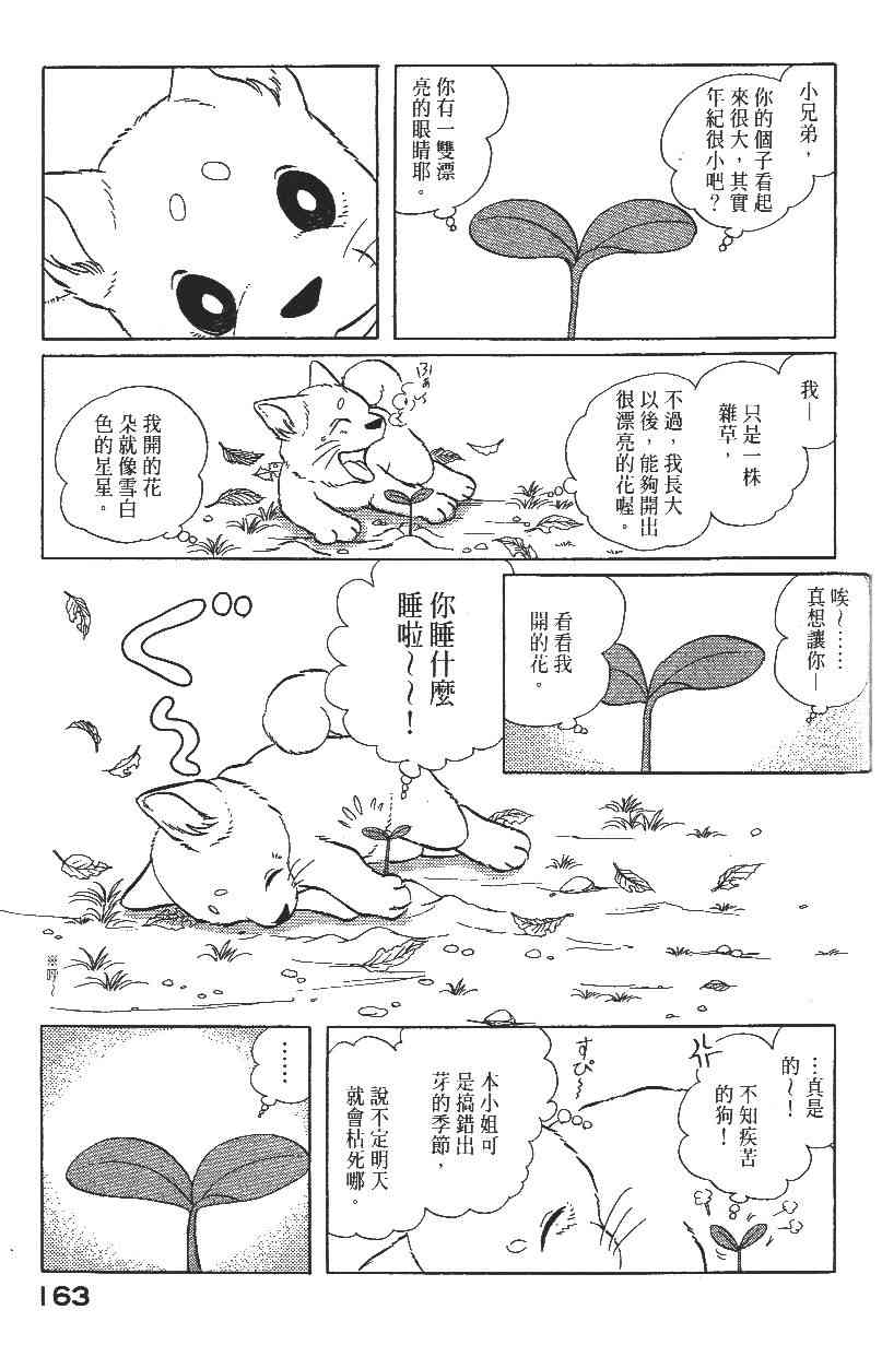 《柴王》漫画 02卷