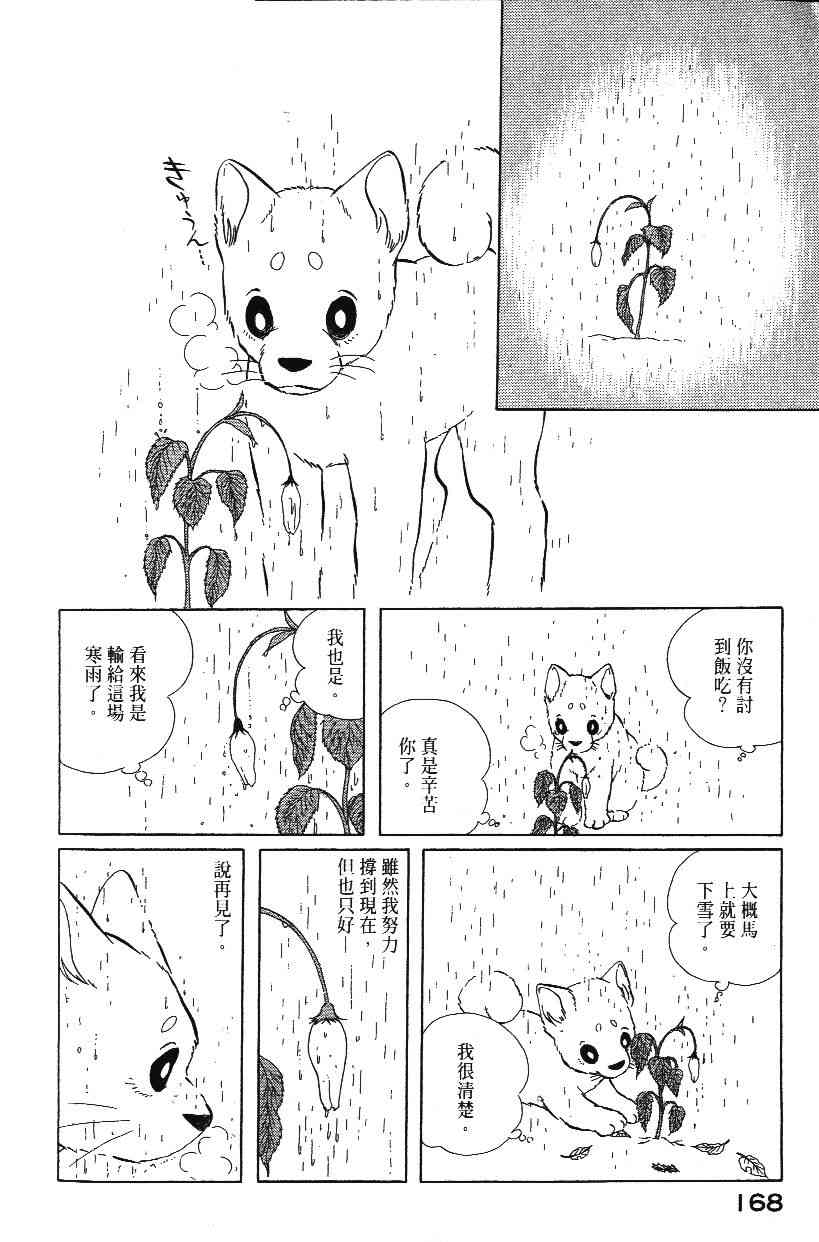 《柴王》漫画 02卷