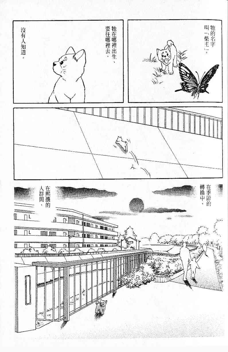 《柴王》漫画 01卷