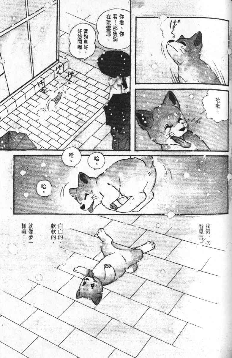 《柴王》漫画 01卷