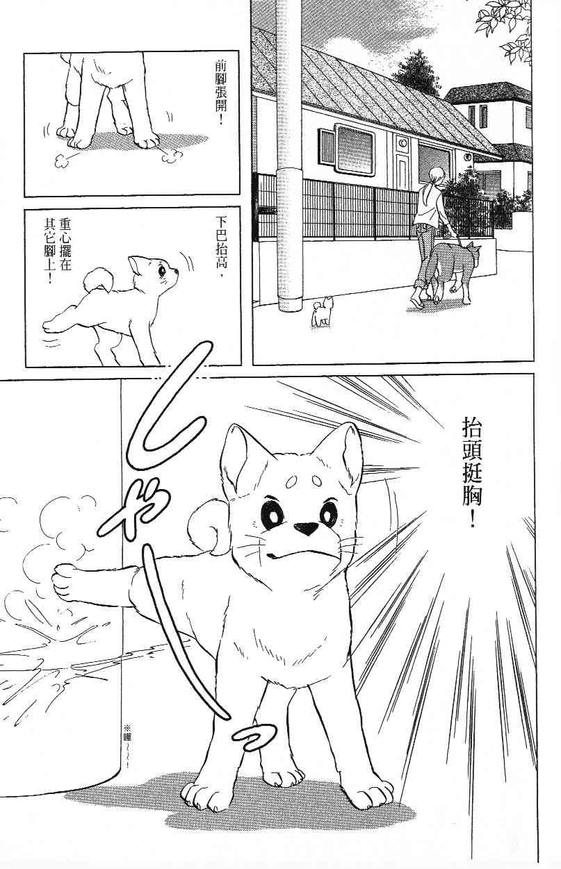 《柴王》漫画 01卷