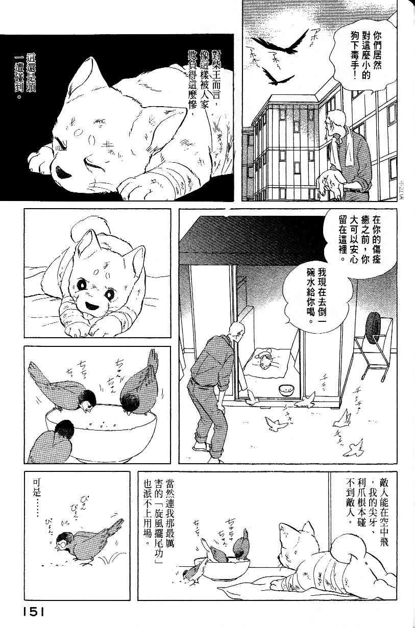 《柴王》漫画 01卷