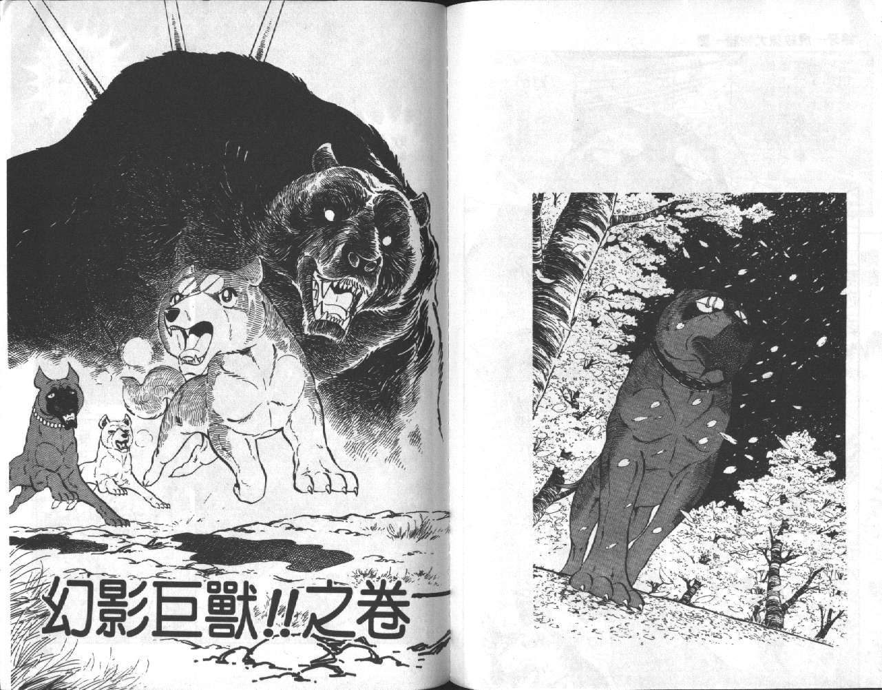 《银牙虎纹猎犬物语》漫画 12卷