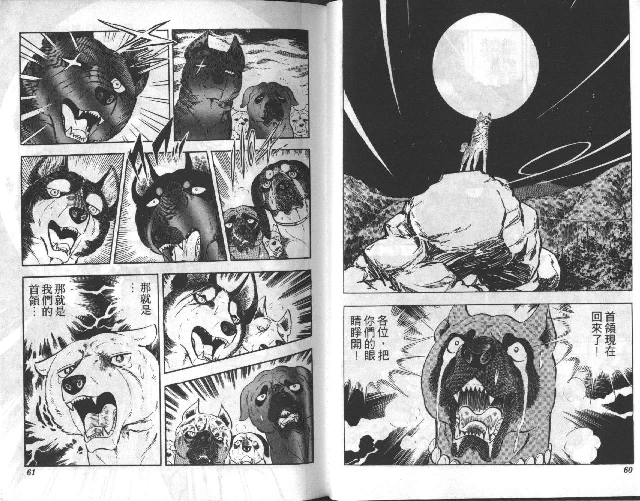 《银牙虎纹猎犬物语》漫画 11卷