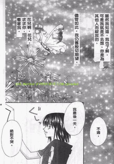 《美丽花蝴蝶》漫画 01卷