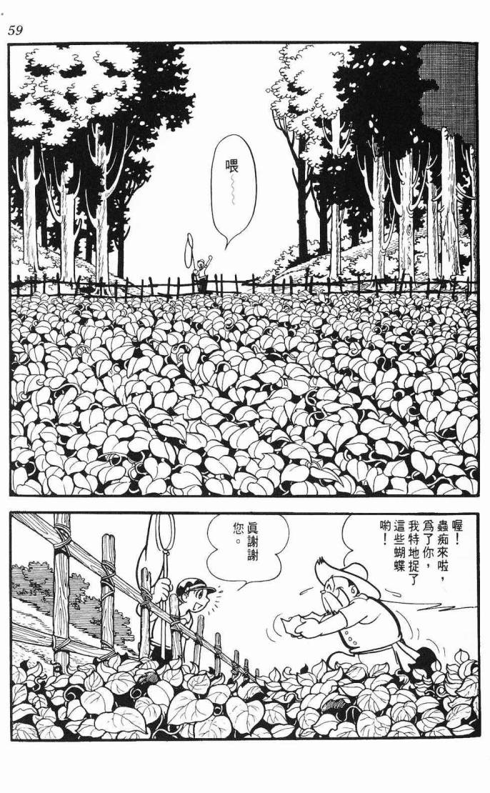 《虎之书》漫画 06卷