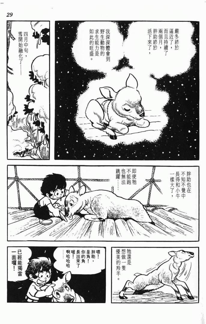 《虎之书》漫画 03卷