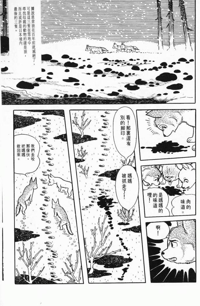 《虎之书》漫画 03卷