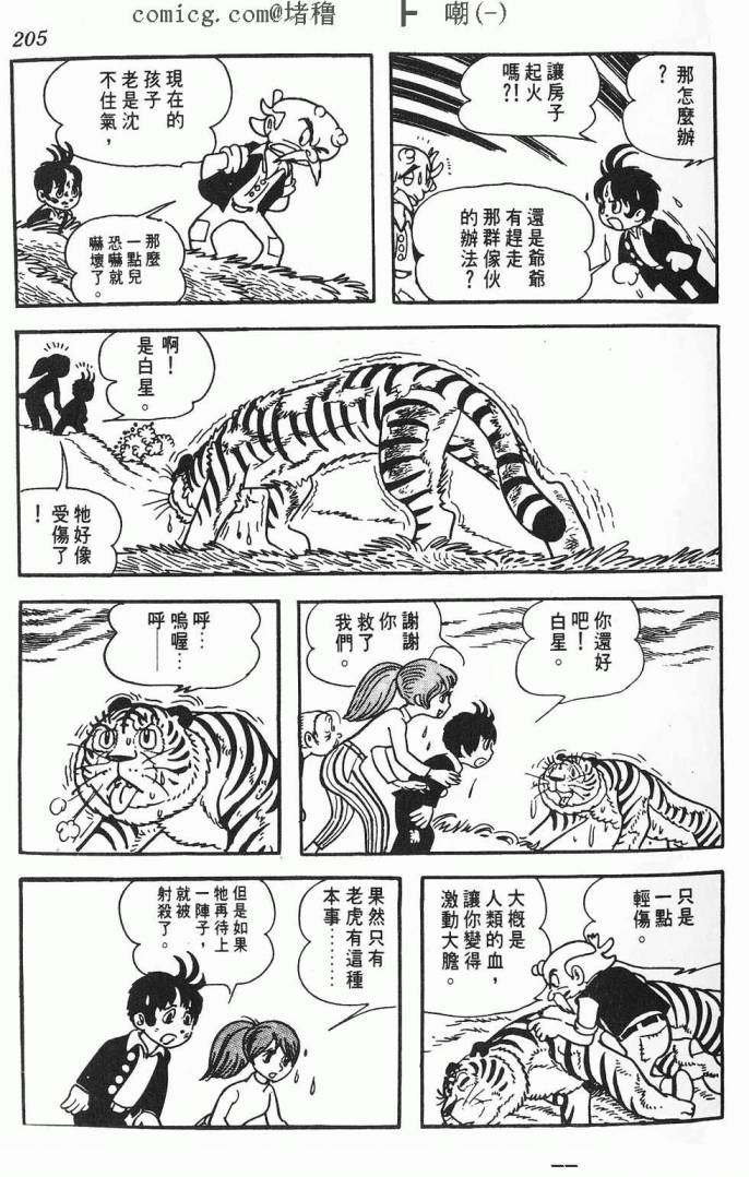 《虎之书》漫画 01卷