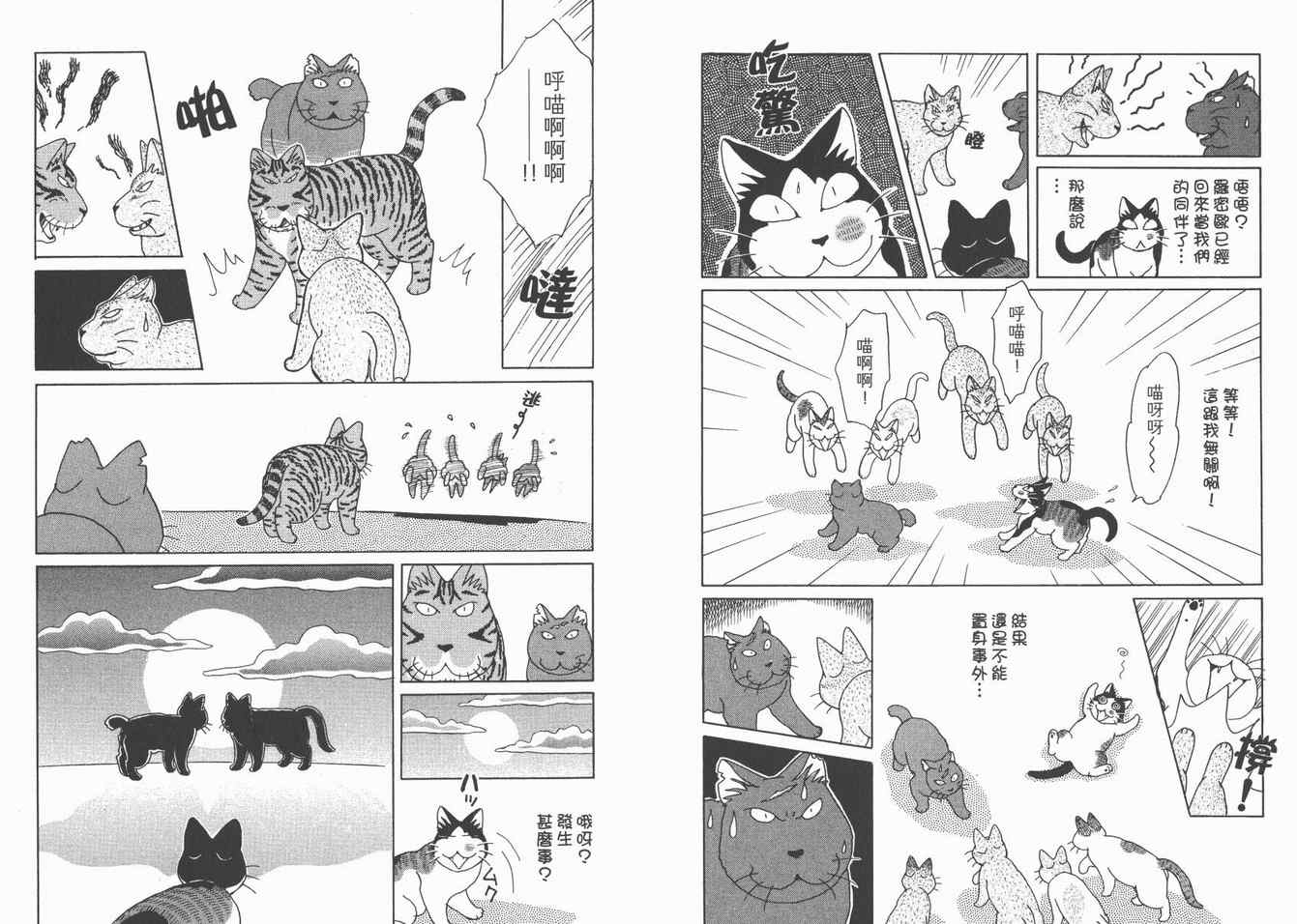 《猫猫克克》漫画 05卷