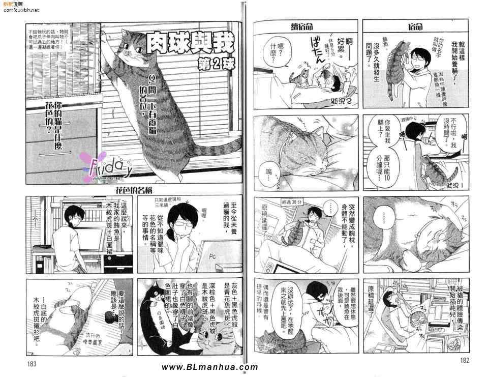 《爱上流浪猫》漫画 01卷