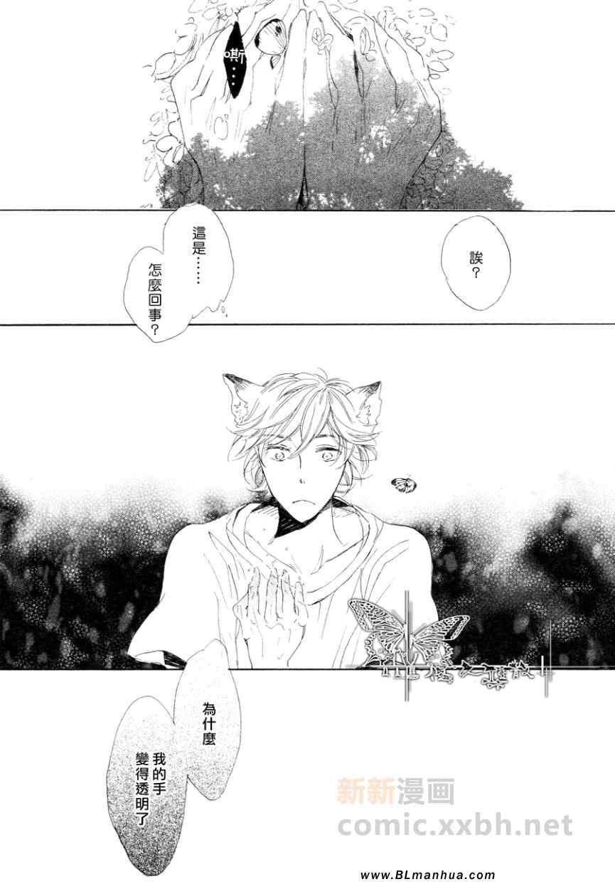 《猫新娘驾到》漫画 中篇