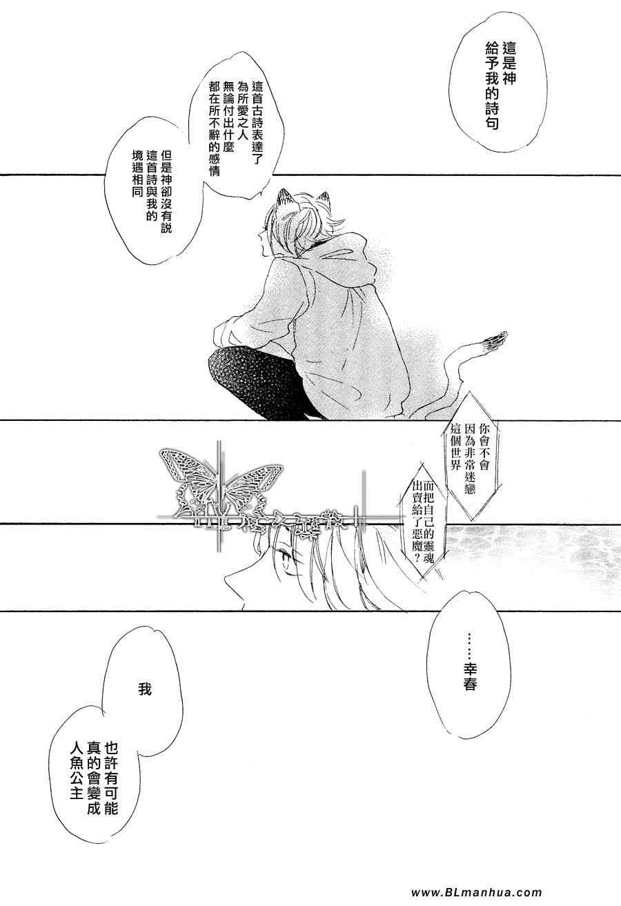 《猫新娘驾到》漫画 中篇