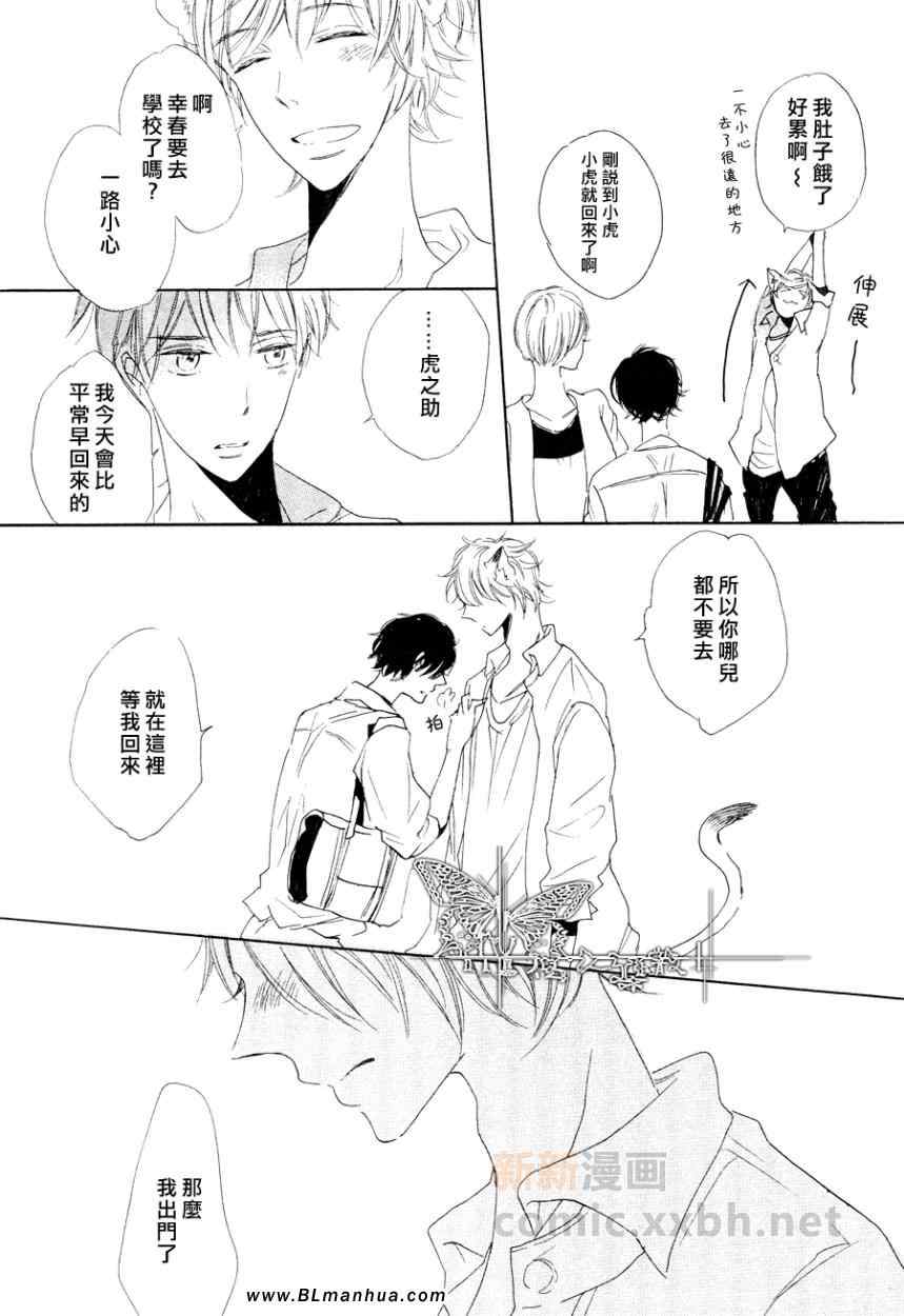 《猫新娘驾到》漫画 中篇