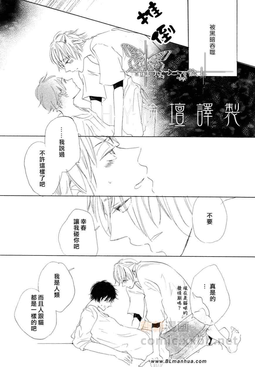 《猫新娘驾到》漫画 中篇